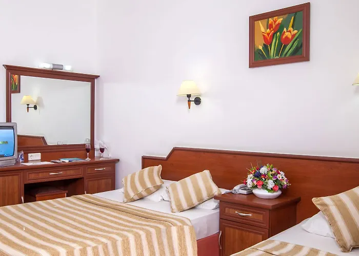 Xeno Eftalia קונאקלי